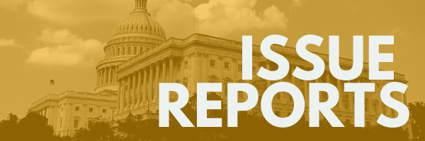 Issue Reports