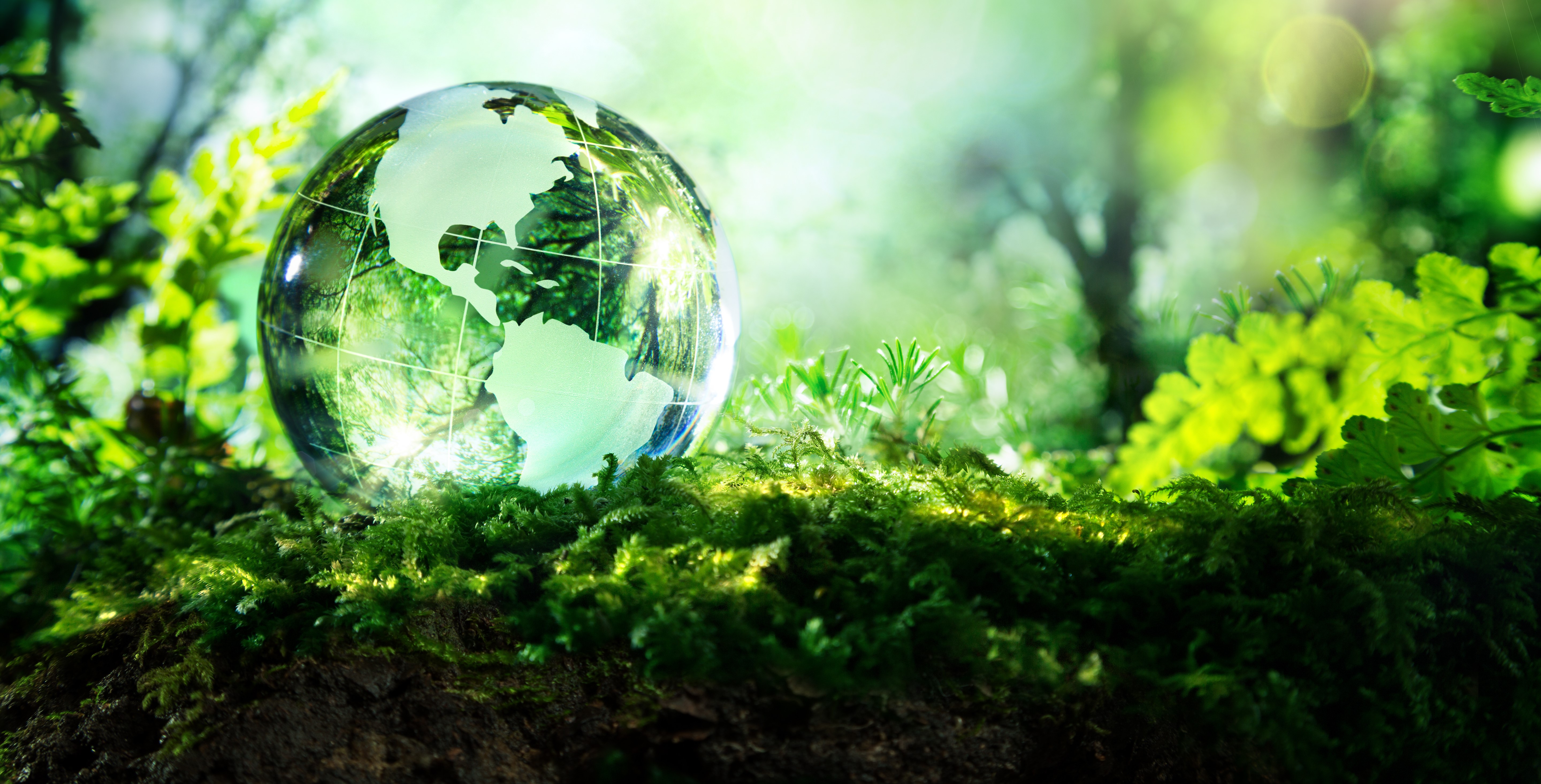 tiny transparent globe of earth sits in greenery