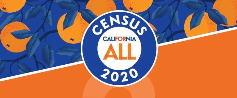 Three Ways to Complete the Census