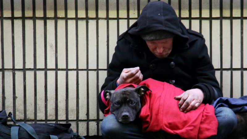 Photo of homeless man with dog on lap