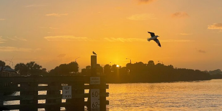 Daytona at Sunset