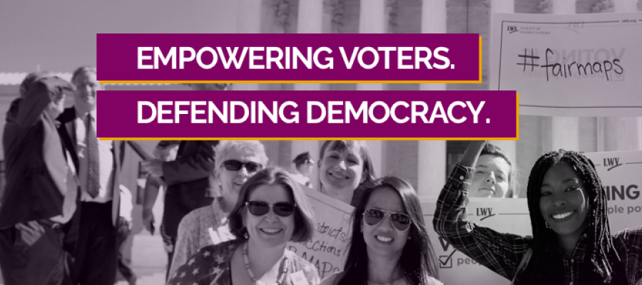 empowering voters defending democracy