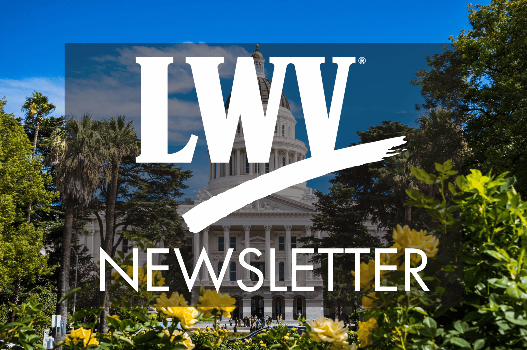 Newsletter
