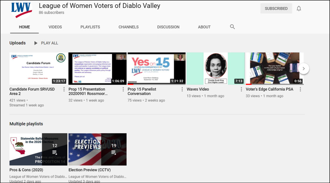 Image of LWVDV YouTube channel