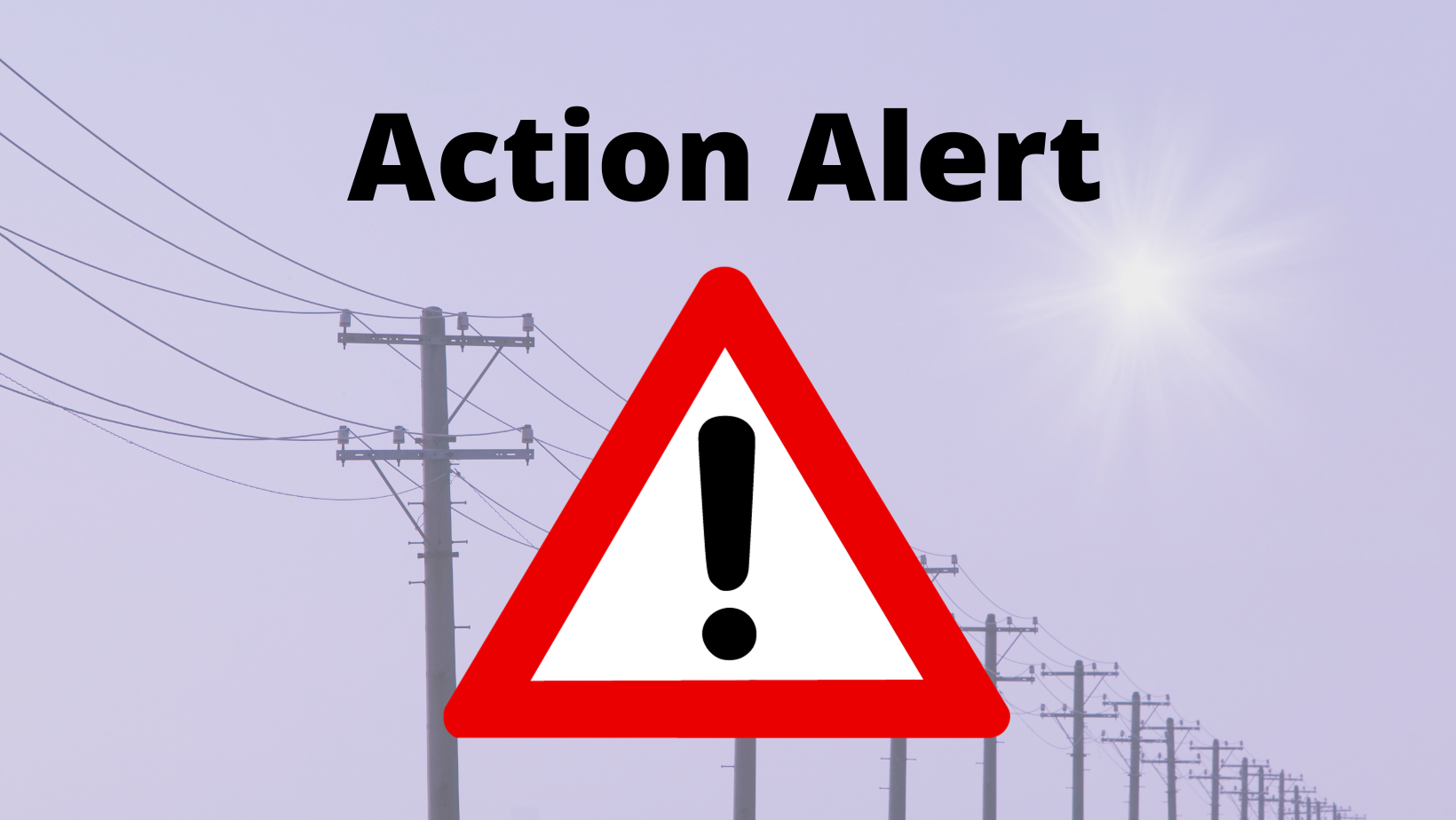Action Alert text with black exclamation point in red and white triangle graphic 