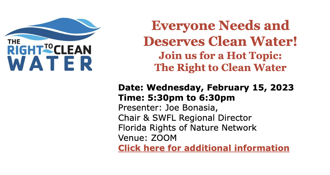 LWVStPete Clean Water Zoom 230215