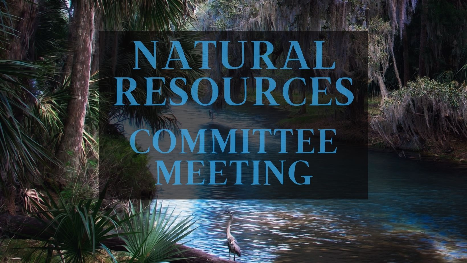 Image of springs with bird in foreground. Text overlay "Natural Resources Committee Meeting"