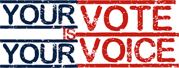 Your Voice is Your Vote