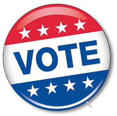 Vote Pin