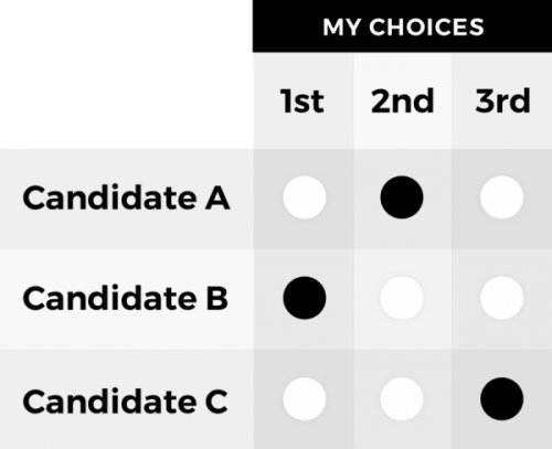 Ranked Choice Voting Example ballot from RankMIVote