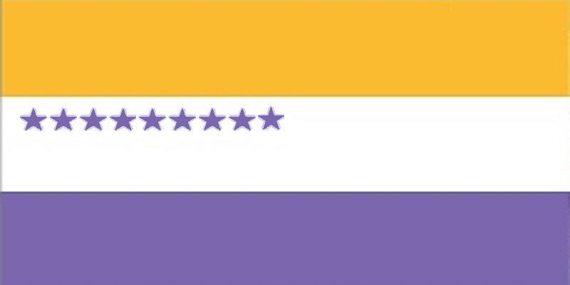 National Women's Party Flag after Texas ratified Nineteenth Amendment