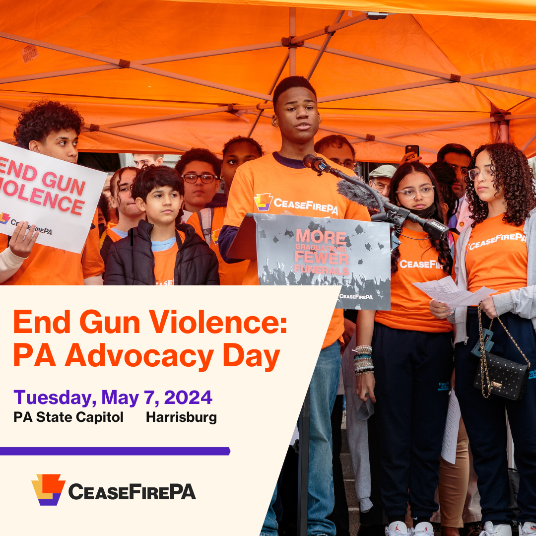 End Gun Violence 2024