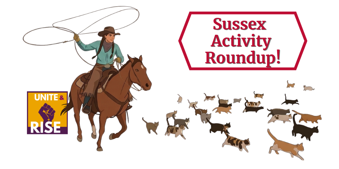 Sussex LWV Activity Roundup - cowgirl herding cats