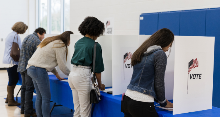 voters at the booth