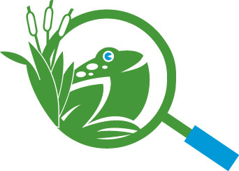 ODC Logo