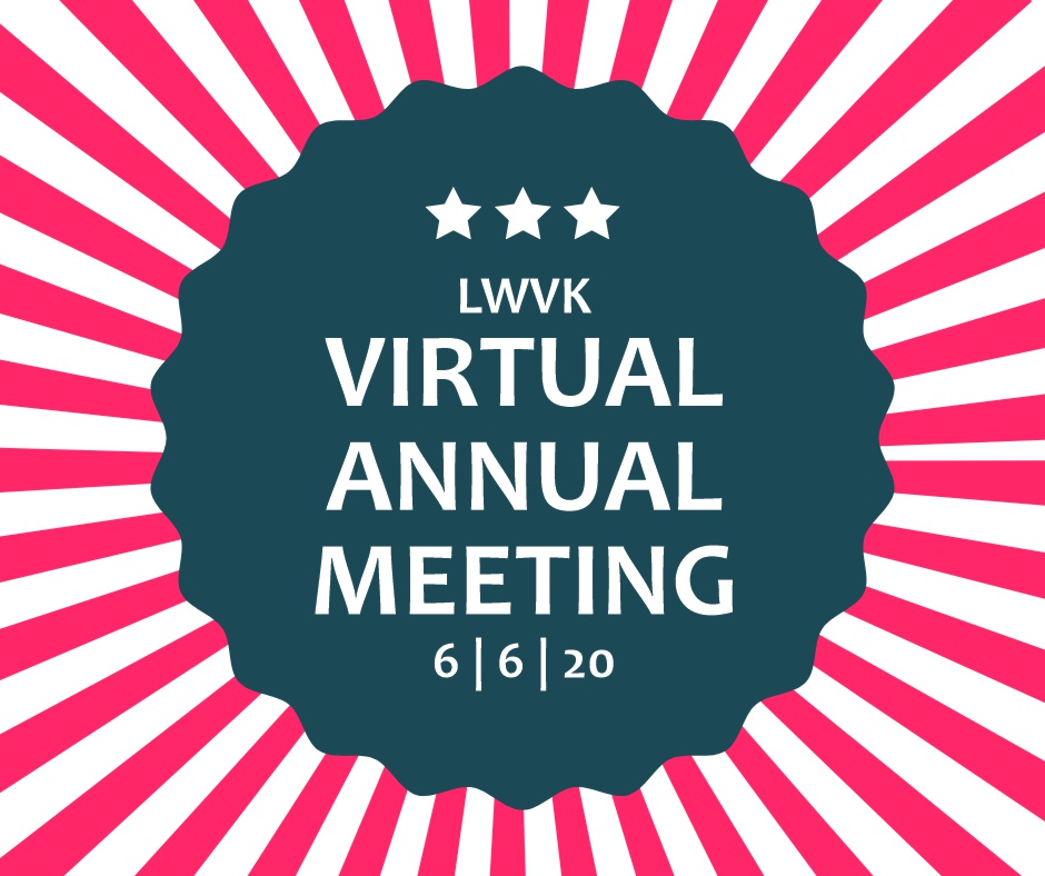 virtual general meeting