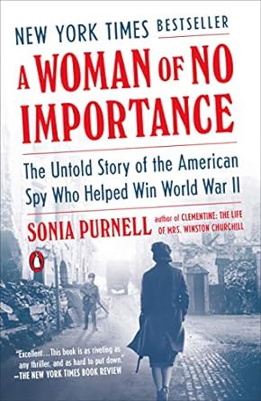 A Woman of No Importance book cover