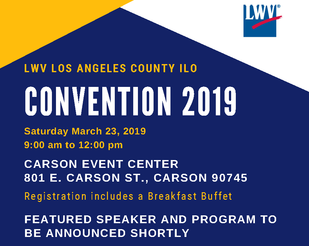 County Convention 2019