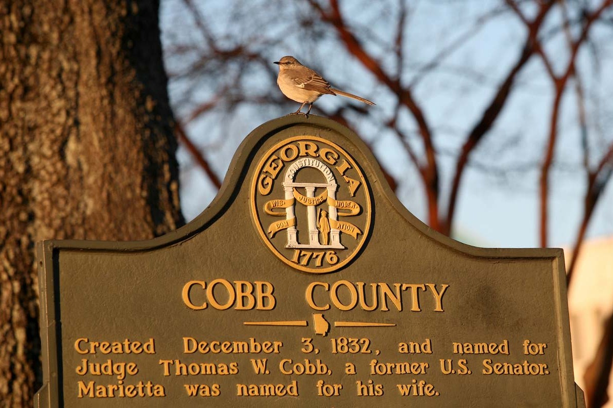 Cobb County, GA - Origin Story