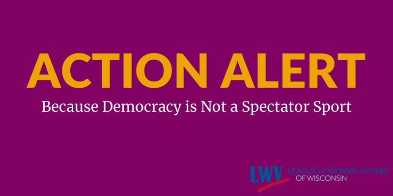 Graphic with text, "Action Alert: Because Democracy is Not a Spectator Sport"