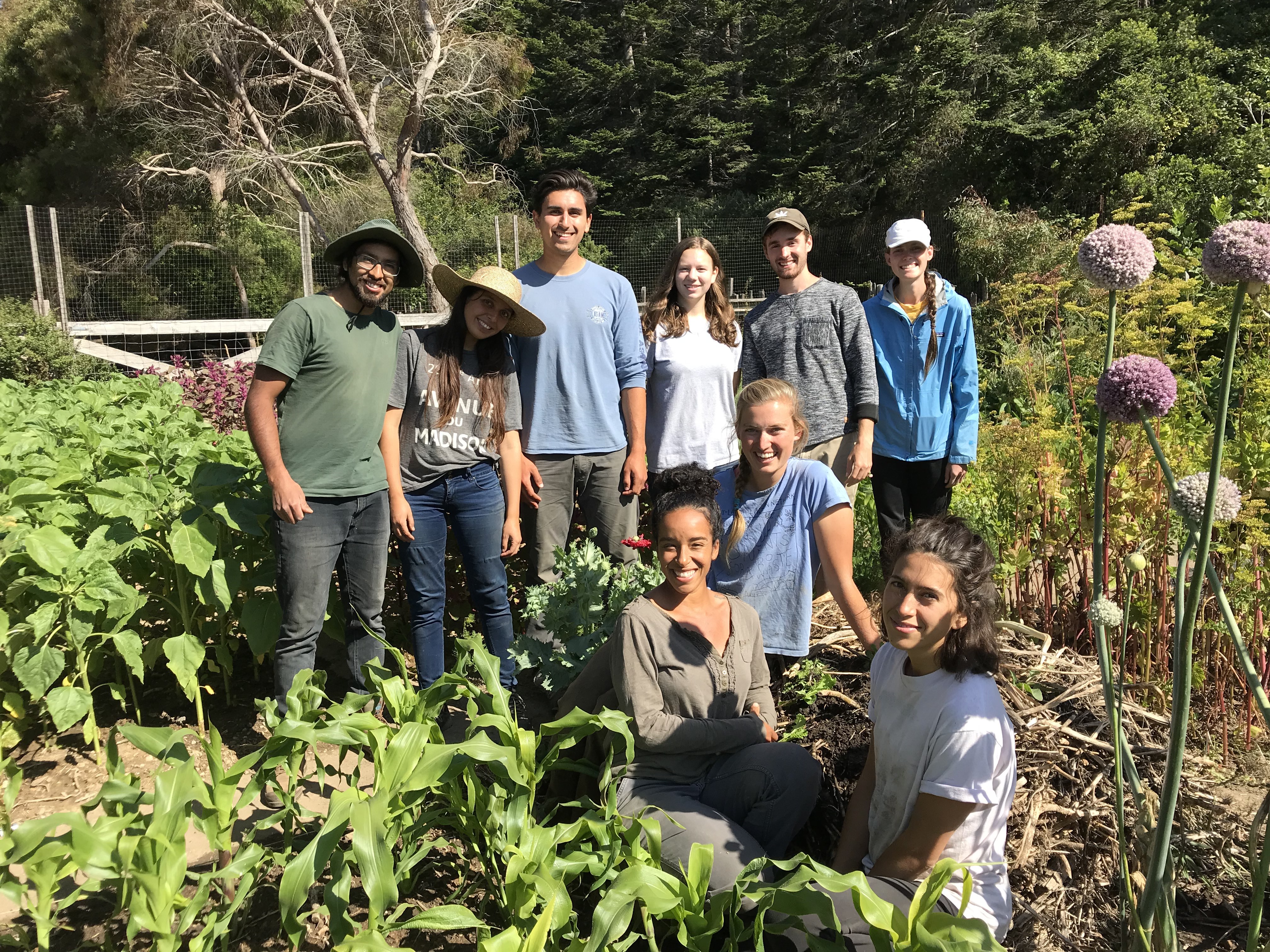 Victory Gardens for Peace