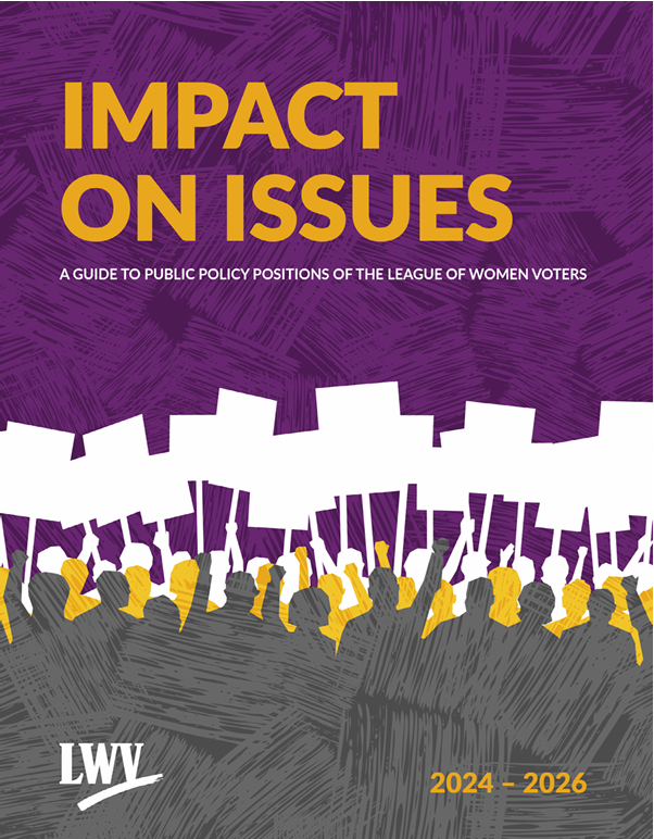 Cover of 2024-2026 Impact on Issues