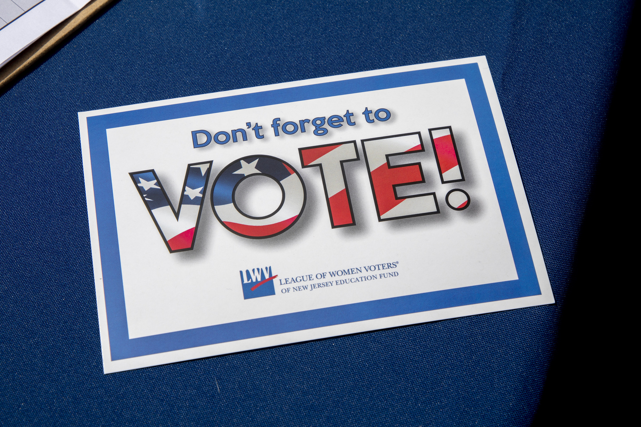 Picture of a Voting Sign