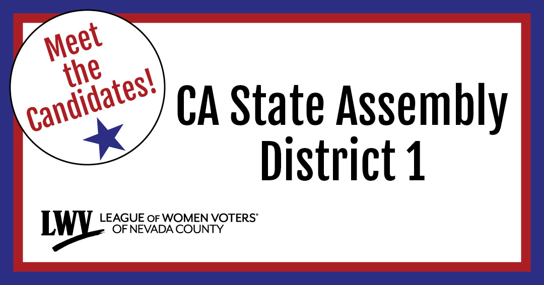 State Assembly video replay