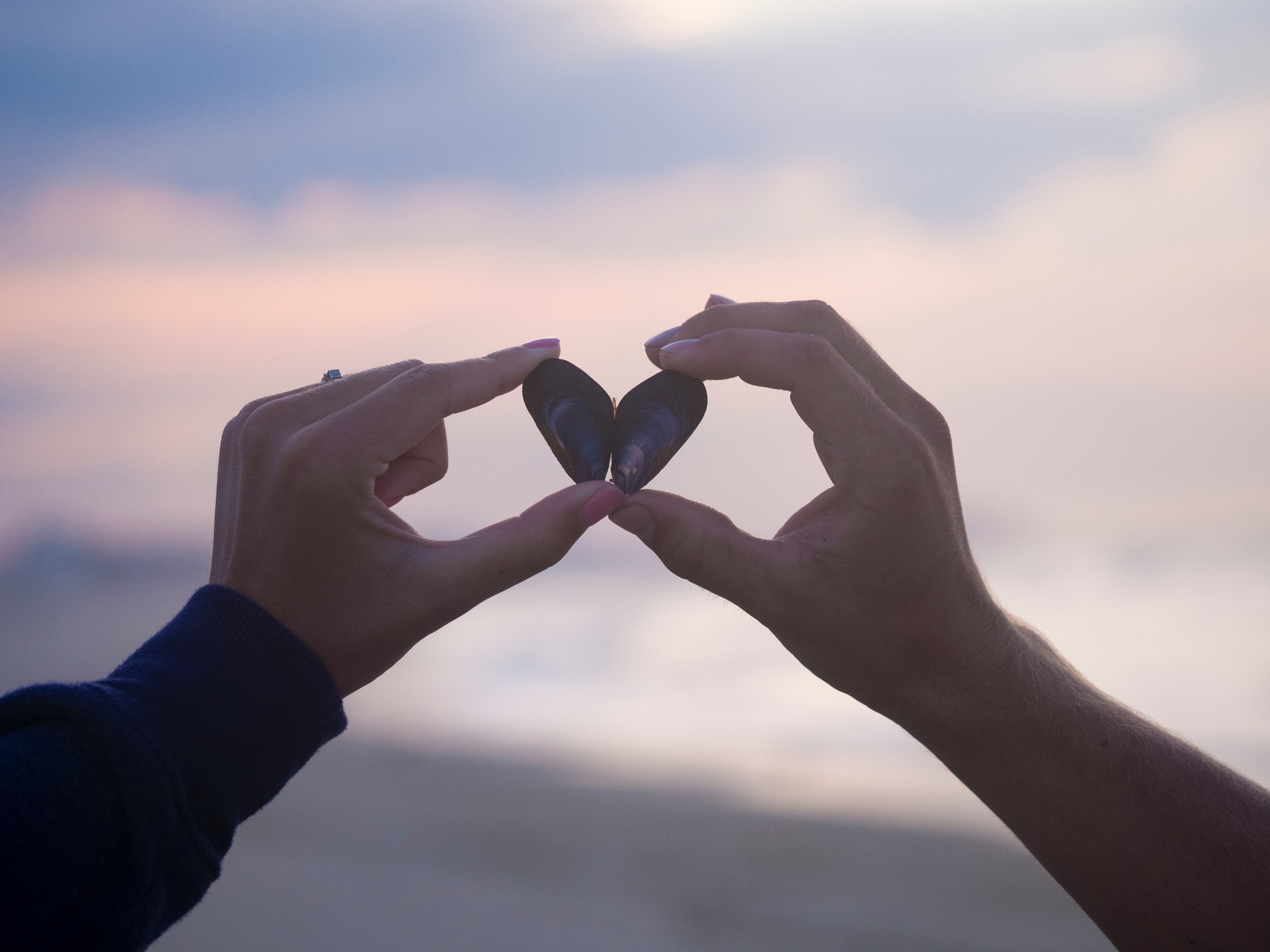 Photo by Aaron-Burden on Unsplash Shell Heart at Sunset