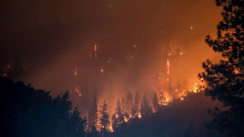 California Forest Fire