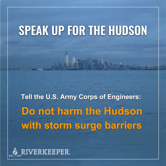 Hudson Storm Barriers