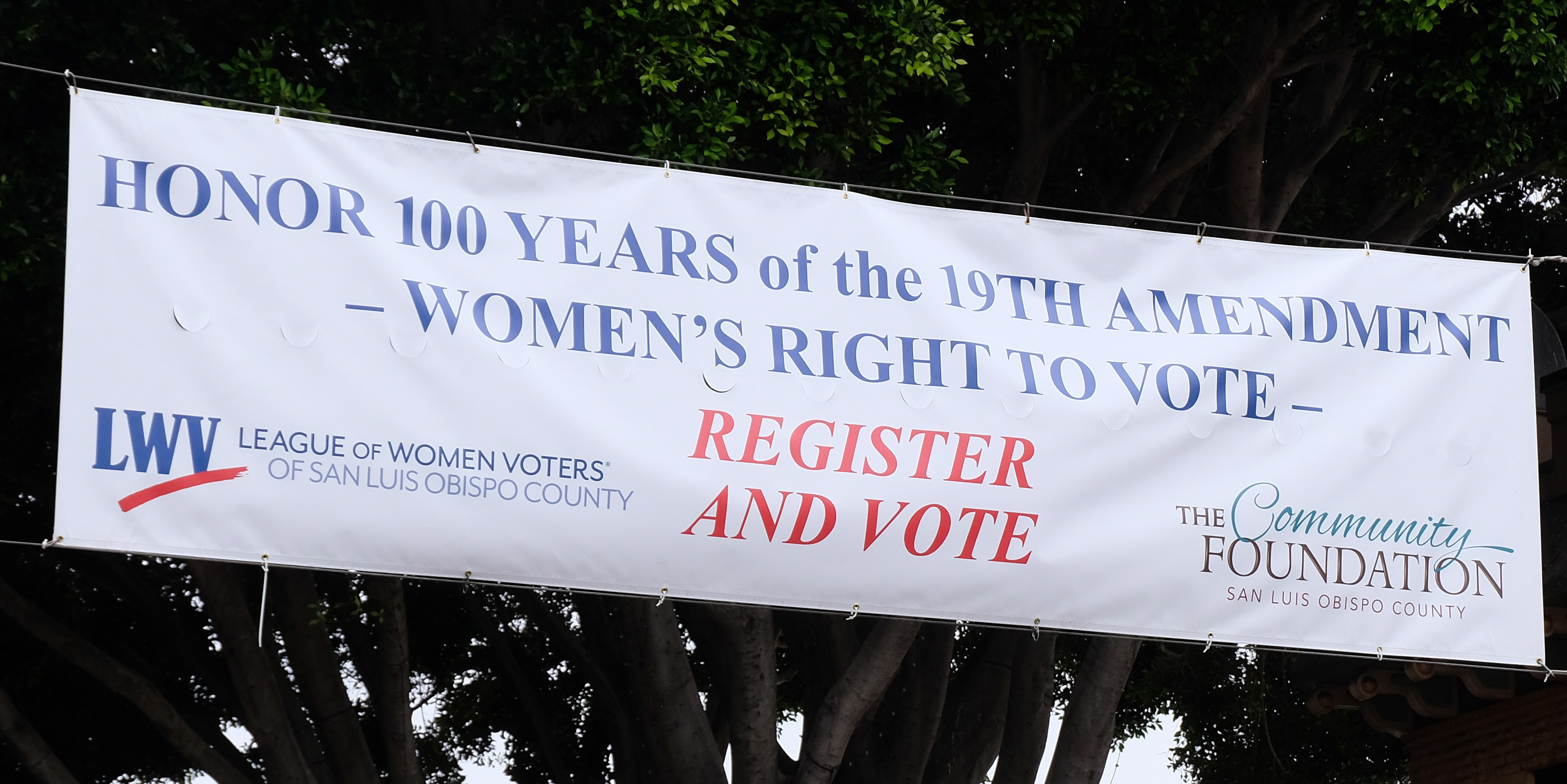 Honor the Suffragists' Legacy Honor the 100 years of the suffragists' legacy: Register and Vote