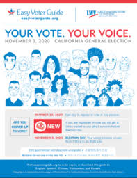 Easy Voter Guide November 2020 Easy Voter Guide