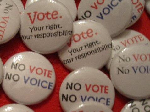 No Vote No Voice Buttons