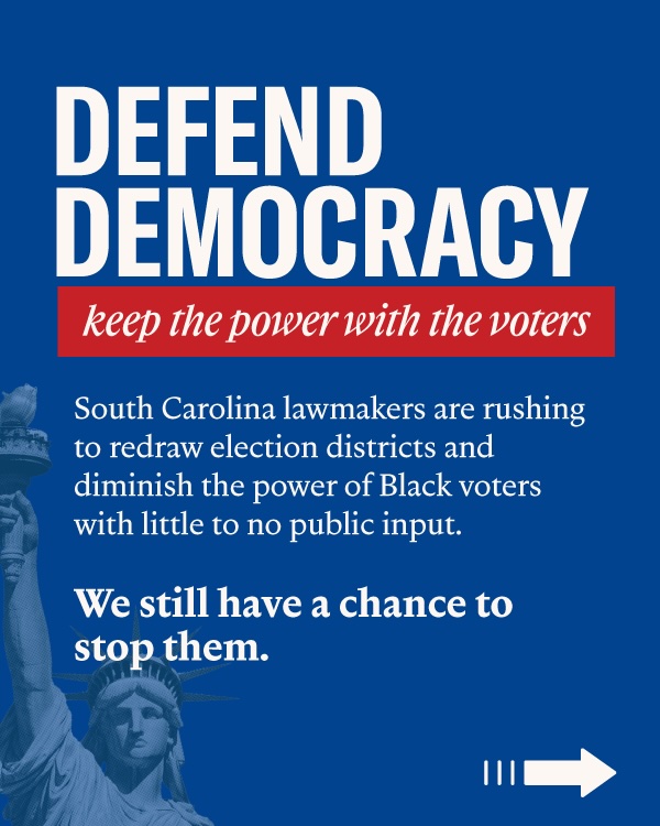 Defend democracy: keep the power with the voters 