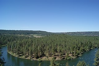 lookout spokane river