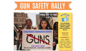 Gun Safety Rally