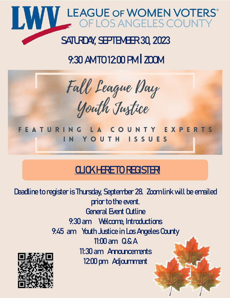 Youth Justice in Los Angeles County Promotional Flyer