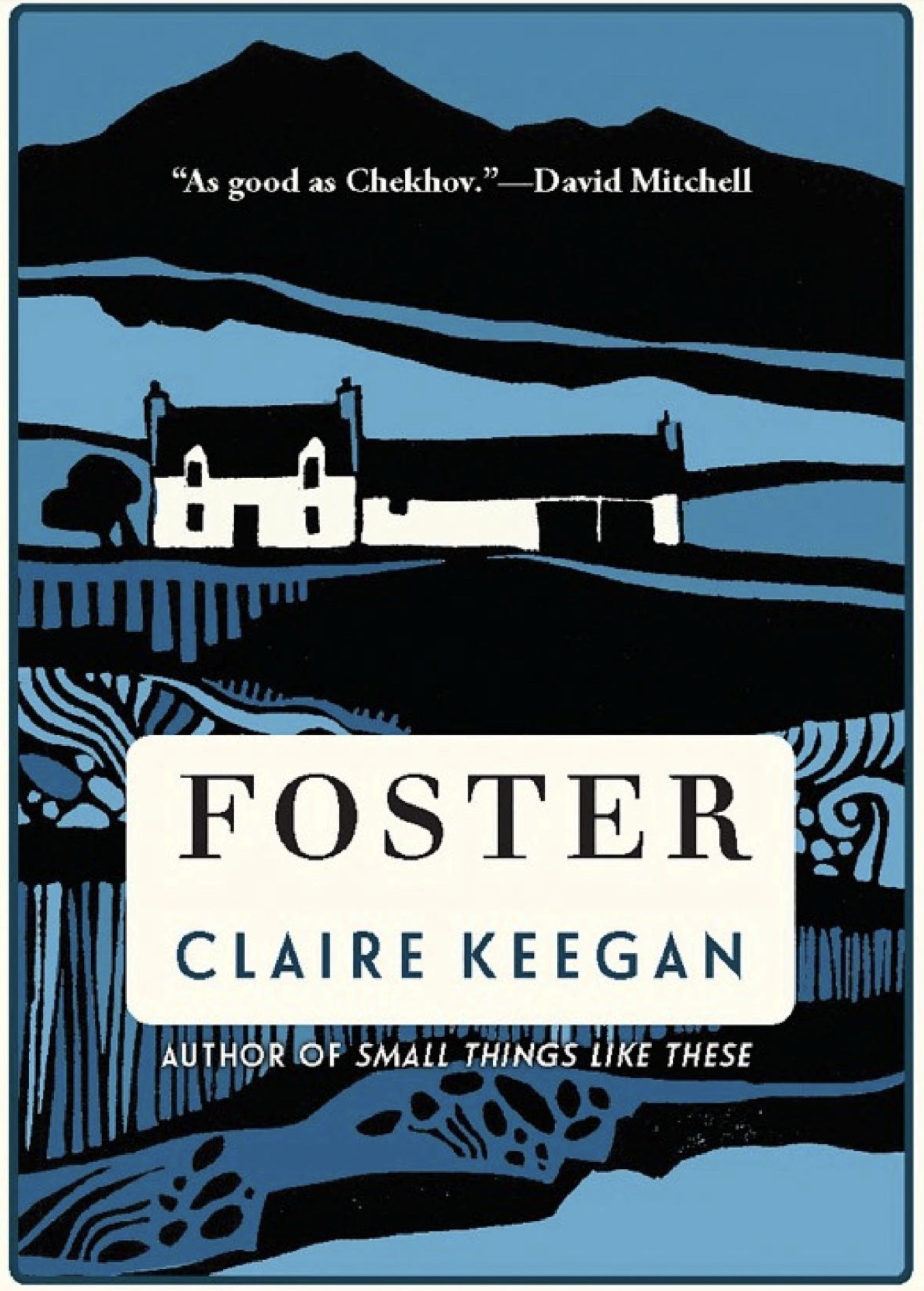 book cover of Foster by Claire Keegan