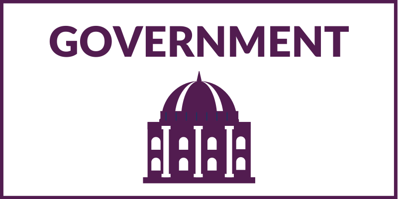 Rectangular graphic with a purple border and text that says "GOVERNMENT" with a government building below.