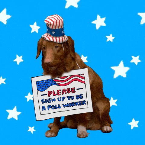 Dog with sign saying "sign up to be a poll worker"