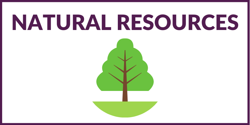 Rectangular graphic that says "NATURAL RESOURCES" with a tree below and a purple border around the graphic.