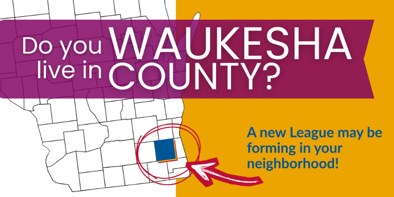 Waukesha County local league info session