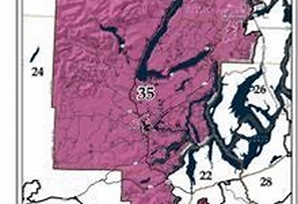 35th Legislative District Position 2 forum