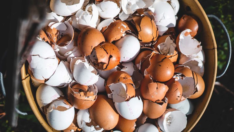 Photo of bowl full of eggshells