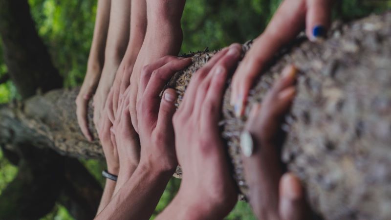 Photo by Shane Rounce on Unsplash photo of diverse skin colored hands on tree trunk
