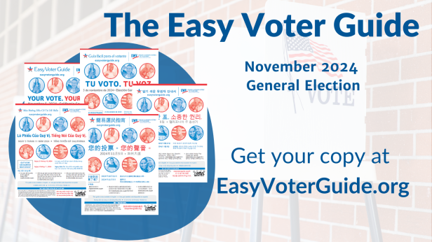 The Easy Voter Guide - November 2024 General Election