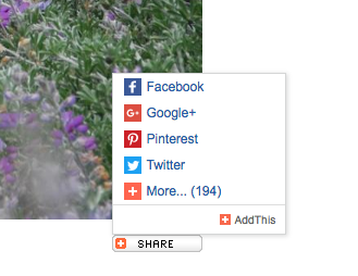 Example of the Share Widget menu showing Facebook, Google Plus, Pinterest, Twitter and More.