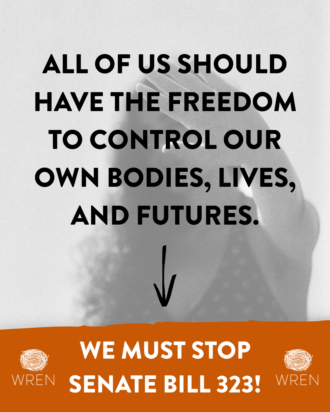 A graphic that reads, &quot;All of us should have the freedom to control our own bodies, lives, and futures. We must stop Senate Bill 323!&quot;
