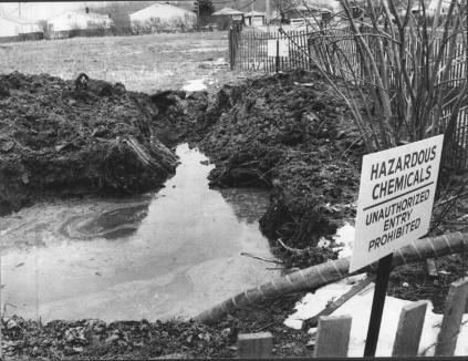 Love Canal N.Y.